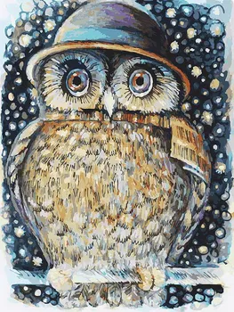 

Owl in hat, 30*40 cm painting coloring by numbers on cardboard Snow White 3073-cs
