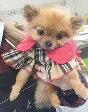 Dress Costume Dog-Puppy-Clothes PET PETCIRCLE Small Dog Classic Check Fit Pet-Cat All-Seasons