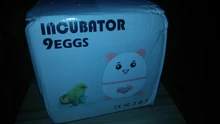 9 Eggs Incubator Intelligent Breeding Professional Brooder Birds Automatic Thermostat