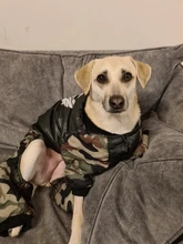 HOOPET Large Coat Down-Jacket Winter New Warm Autumn for Dogs Dog-Prints Overalls Leisure-Style