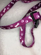 Arnés ajustable para perro de mascota, correa de tracción, correa de plomo para cachorro, correa, collares de cadena, juguete interactivo