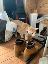 Collares de gato de rejilla a cuadros coloridos, Collar de lazo a rayas de algodón, Bulldog, Chihuahua, pajarita para cachorro, Bandana de fiesta para perro pequeño