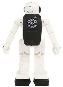 

I Robot/r program