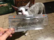 ($18CODE: FASTAPR18)XIAOMI MIJIA-Robot aspirador 1 para el hogar, limpiador automático de polvo, esterilizador, Planificación inteligente, aplicación WIFI, $18 Código: FASTAPR18, Original