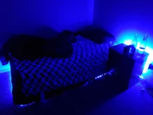 Ribbon Led-Strip-Light Luces Bluetooth-Control Wifi Holiday Rgb 5050 Waterproof Smd 2835