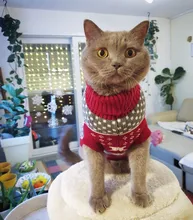 Cute Cat Sweater Pullover Winter Warm Pet Clothes for Cats Kedi Kitten Sweatshirt Cat
