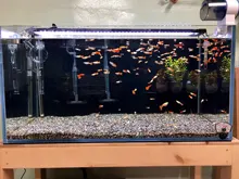 Led-Lamp Dimmer Fish-Tank-Light Aquarium Sunrise Sunset Marine Automatic Full-Spectrum