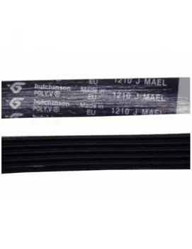 

Washing machine strap Candy 1210 J5 CTD1208L37 CTDF1008L37 80001704