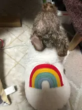 Costume Puppy-Clothes Love-Rainbow-Vest PETCIRCLE Pet-Cat Dog Winter New Fit And Four-Color