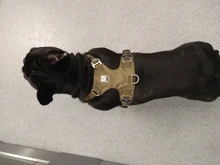 Harness Light-Weight Military-Service Truelove Dog Small Outdoor Tactical Medium Adjustable