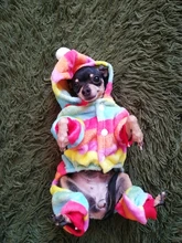 Mono para Perro suave y cálido, pijama de lana para mascotas, Ropa para perros, abrigo, chaqueta, Chihuahua, Yorkshire