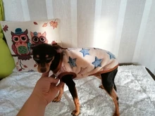 Clothing Puppy-Vest Dog-Coat Pet-Cat-Clothes French-Bulldog Small Dogs Chihuahua Winter