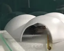 Reptile Hiding Cave Animal Pet Case EggsShell Decoration For Turtle Lizard Snake 