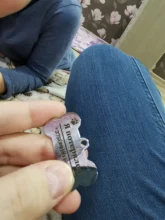 Collar-Accessories Dog-Tag Engraved-Tel Sex-Name-Tag Dogs Kitten Pupp Pet-Dog Stainless-Steel