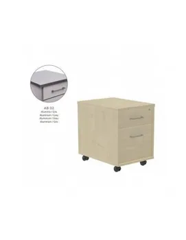 

BUC METAL OF ROCADA WITH 1 DRAWERS AND 1 CARPETEO 42x64x53 CM ALUMINUM/GRAY