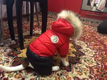 Jacket Bulldog-Clothing Pet-Coat Puppy Dogs Pug Chihuahua French Waterproof Winter Small