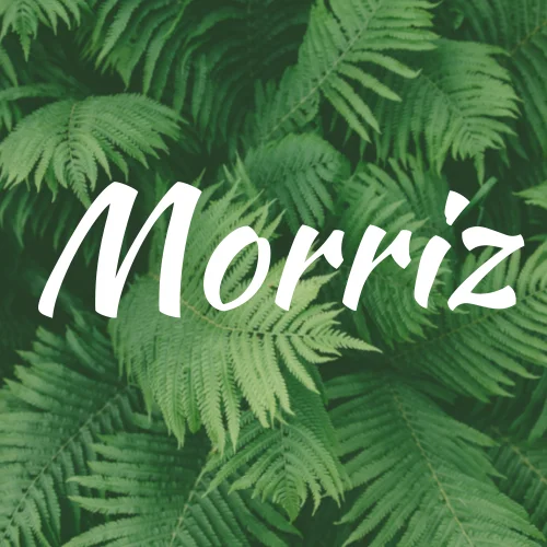 MORRIZ Store