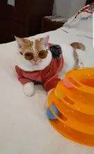 Torre de juguete de Gato de tres niveles, juguete para gatos, disco de diversión, para entrenamiento de pelota