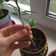 1 Uds de acero inoxidable Extractor de Blackhead removedor de agujas acné comedón, mancha, espinilla tratamientos para el acné para el cuidado de la piel belleza herramienta