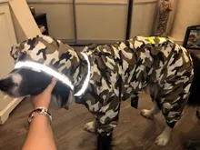 Jumpsuit Jacket Pet-Cloak Rain-Coat Labrador HOOPET Golden Retriever Waterproof Dogs