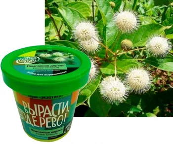 

Set for выращиванияПомпонное Wood