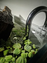 AQUARIUM-FILTER Lily-Pipe Surface-Skimmer Inflow Stainless-Steel NICREW with And 