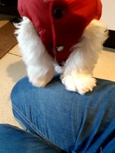 Abrigo de invierno para mascotas, ropa cálida para perros pequeños, abrigo de Navidad para perros grandes, chihuahua