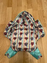 Ropa de invierno para perros pequeños, abrigo cálido para cachorros, chaqueta impermeable con capucha, monos para Chihuahua y Yorkie