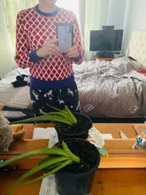 Las mujeres nuevo Vintage hoja de Jacquard cálido suéteres de manga larga o-Cuello Lurex jerséis de Navidad de punto otoño Tops Retro C-014