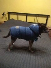 Winter Warm Pet Dog Clothes Hooded Thick Cotton Cat Puppy Dogs Coat Jackets S-XXL