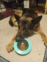 Juguetes Para Perros Dispener IQ, rompecabezas de entrenamiento de mascotas, Bola de comida para perros