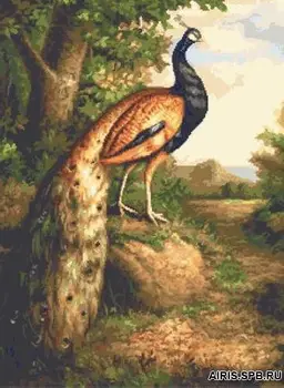 

G-1110 set for embroidery 'Tapestry Classic' 'Peacock, 24x33 cm