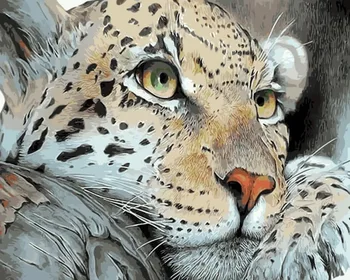 

Painting by Numbers Premium: Leopard holiday