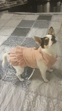 Warm Pet Dog Dress Vest Jacket For Dogs Cats Winter Chihuahua Yorkies Clothes Maltese