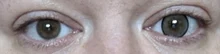 OVOLOOK-2pcs/par de lentes de Color dorado, lentillas bonitas de 6 tonos, lentillas de Color dorado (diámetro: 14,5mm)