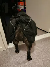 Jackets Dog-Coats Outdoor Winter Pet-Dog Dogs Large Medium for Warm Clothing Kurtka Ubranka