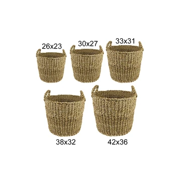 

Ter Steege Hasır Saksı 38x32