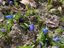 Tornillo hexagonal de acero inoxidable, cabeza de oblea superplana, ultrafina, tornillo Allen, M1.6, M2, M2.5, M3, M4, M5, M6, 304, 10/50 Uds.