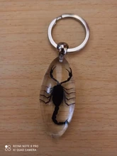 Juego de herramientas profesionales para muebles, elevador de transporte de cosas pesadas, rodillo de rueda con barra de rueda, dispositivo de mano móvil, Uds.