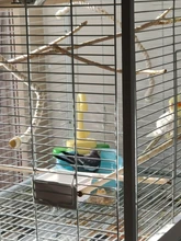 Pool Fountains Bath-Tub Birds Toy Sink Pet-Parrots Play Kitchen House Multipur with Faucet