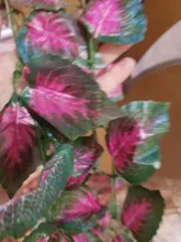 10 Style 1pc Artificial Decoration Vivid Vine Rattan Leaf Vagina Grass Plants Grape Leaves
