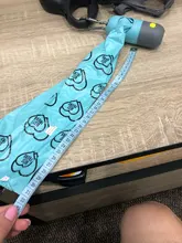 Dispensador de bolsas desechables para perro, con linterna LED integrada y Clip para correa, accesorio para caminar, WXV