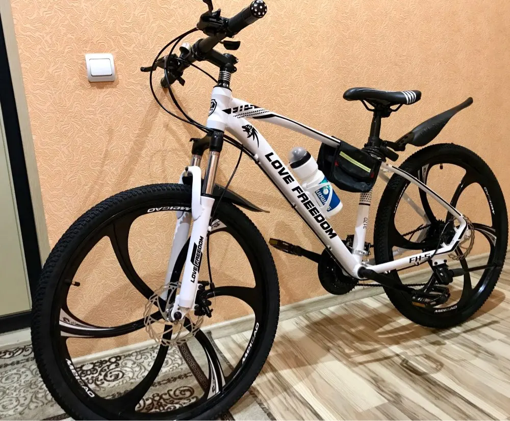 ifreedom fat bike
