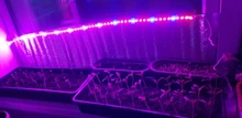 Grow-Bulb Phyto-Lamp Flower-Seedling Hydroponic Led-Plant GU10 MR16 Full-Spectrum 220V