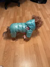 Ropa de invierno para perros pequeños, abrigo cálido para cachorros, chaqueta impermeable con capucha, monos para Chihuahua y Yorkie