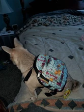 Dog-Backpack Petcircle And Environmentally-Friendly Convenient Multicolor Hot-Sale Lovely