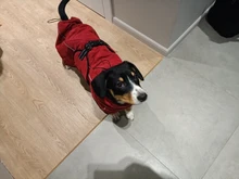 Jackets Dog-Coats Outdoor Winter Pet-Dog Dogs Large Medium for Warm Clothing Kurtka Ubranka