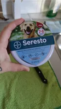 Seresto-Collar de prevención de pulgas y garrapatas para perros y gatos, repelente de mosquitos, suministros para mosquitos, 8 meses