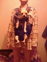 Backpack Carrier Cat-Accessories Front-Chest-Holder Chihuahua Puppy Large-Bags Pet-Dog