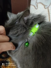 Collar reflectante para mascotas Collar campana ajustable tamaño adecuado para los gatos y suministros para mascotas perros básicos collares Qianyi